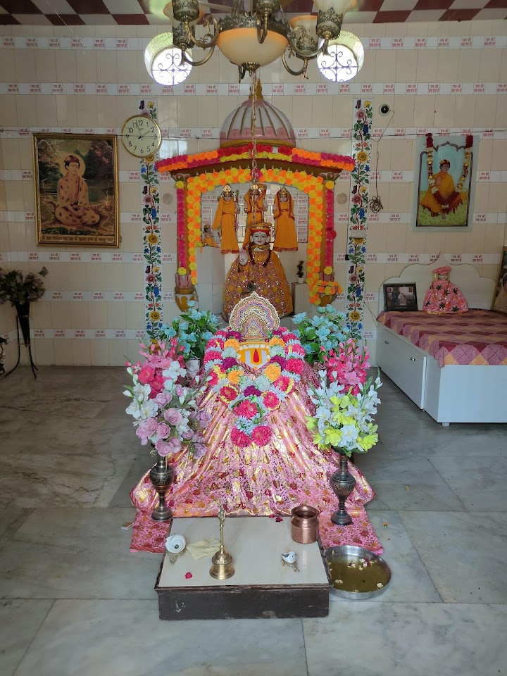 naidunia_image